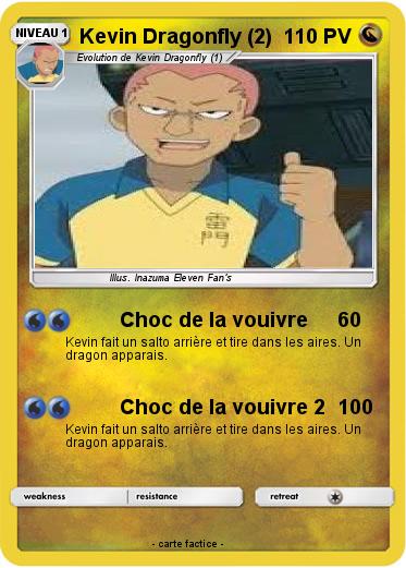 Pokemon Kevin Dragonfly (2)