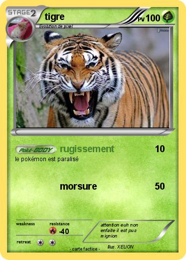 Pokemon tigre