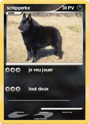 Pokemon schipperke