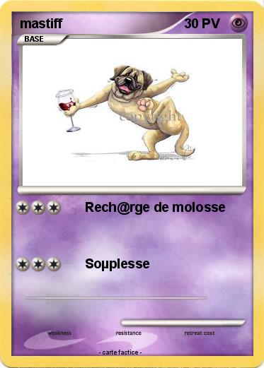 Pokemon mastiff