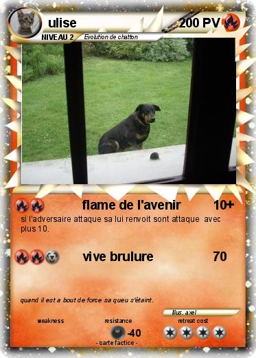 Pokemon ulise