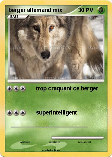 Pokemon berger allemand mix