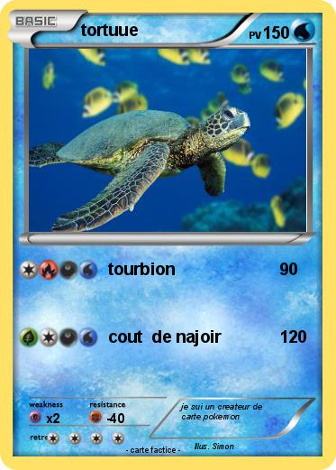 Pokemon tortuue