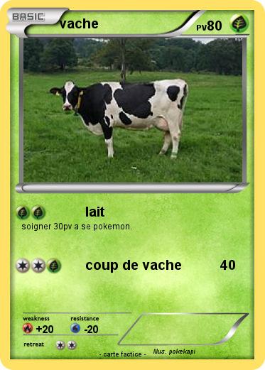 Pokemon vache