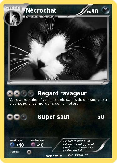 Pokemon Nécrochat