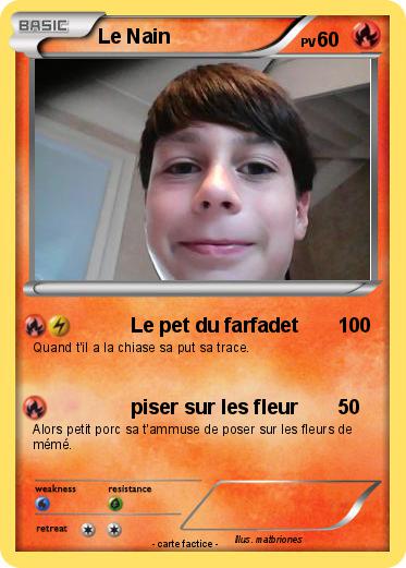 Pokemon Le Nain