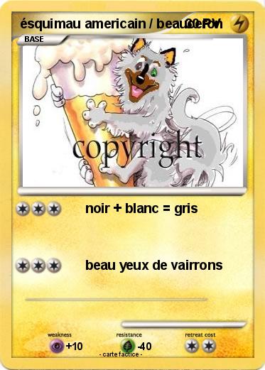 Pokemon ésquimau americain / beauceron