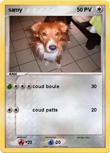 Pokemon samy
