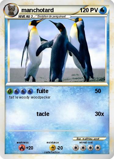 Pokemon manchotard