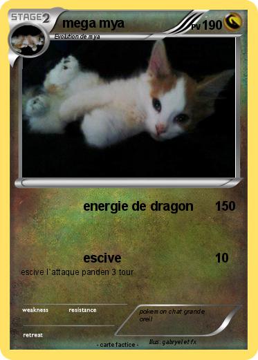 Pokemon mega mya