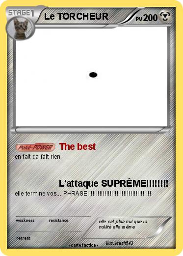 Pokemon Le TORCHEUR