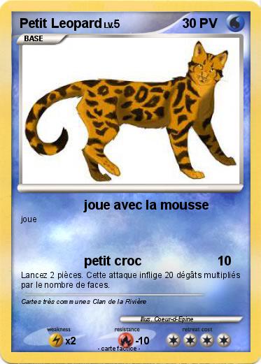 Pokemon Petit Leopard