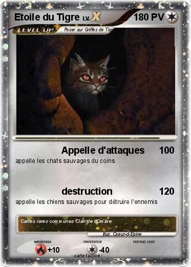 Pokemon Etoile du Tigre
