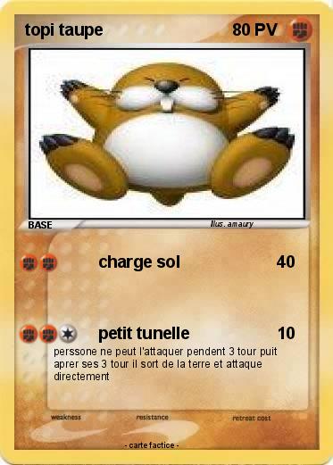 Pokemon topi taupe