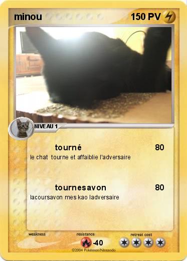 Pokemon minou