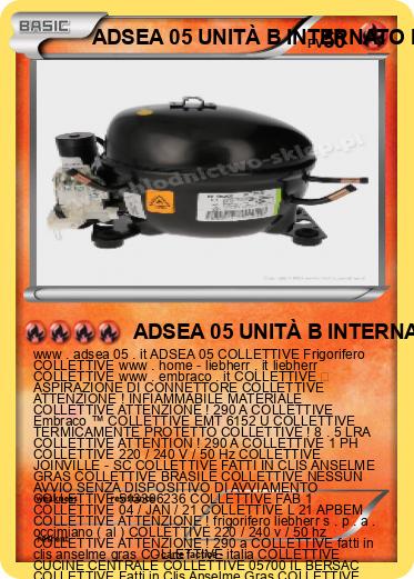 Pokemon ADSEA 05 UNITÀ B INTERNATO IME