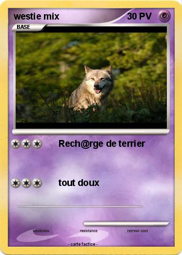 Pokemon westie mix