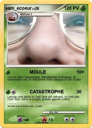 Pokemon sam_ecoeur