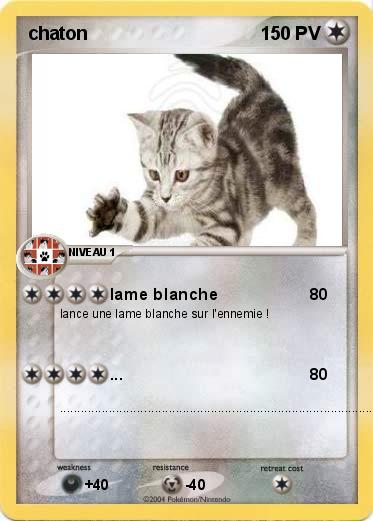 Pokemon chaton
