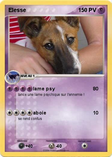 Pokemon Elesse