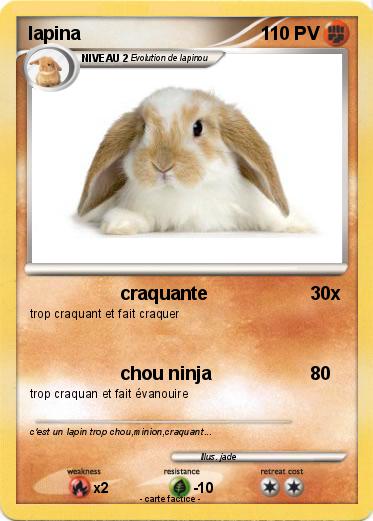 Pokemon lapina