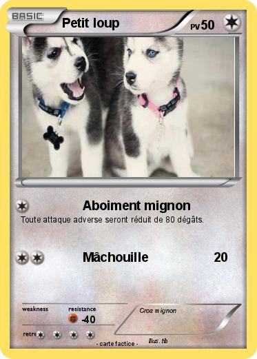 Pokemon Petit loup