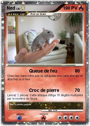 Pokemon Ned