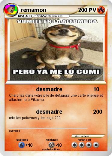 Pokemon remamon