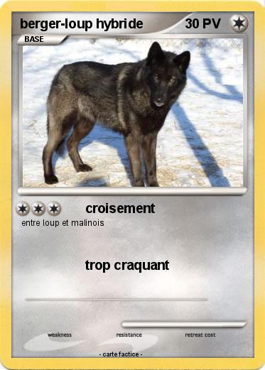 Pokemon berger-loup hybride