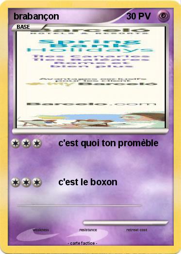 Pokemon brabançon