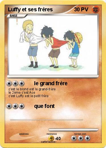 Pokemon Luffy et ses frères