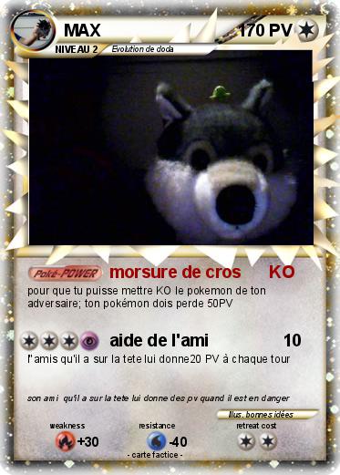 Pokemon MAX