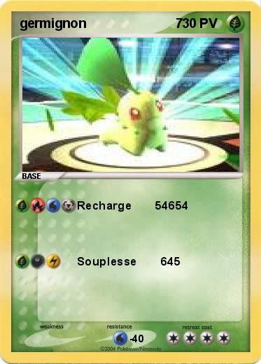 Pokemon germignon                         7