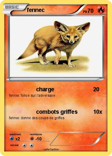 Pokemon fennec