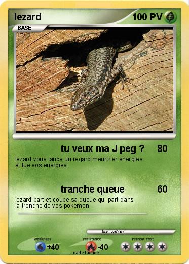 Pokemon lezard