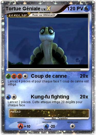 Pokemon Tortue Géniale