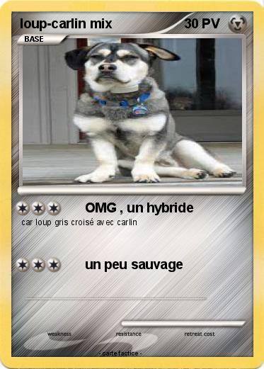 Pokemon loup-carlin mix