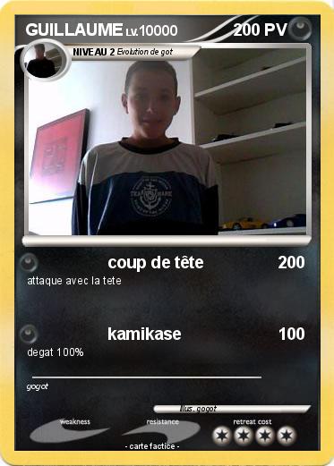 Pokemon GUILLAUME
