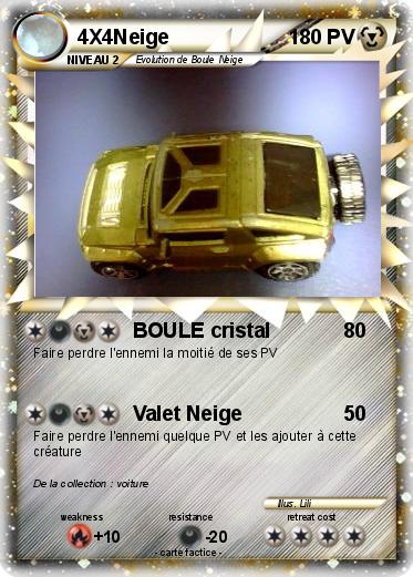 Pokemon 4X4Neige