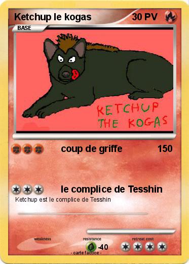Pokemon Ketchup le kogas