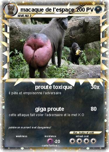Pokemon macaque de l'espace