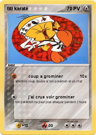 Pokemon titi karaté