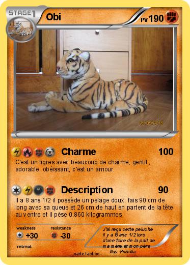 Pokemon Obi
