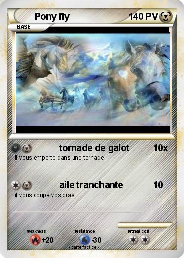 Pokemon Pony fly