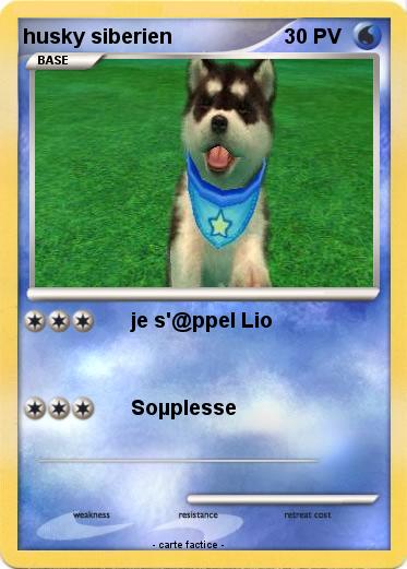 Pokemon husky siberien