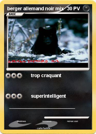 Pokemon berger allemand noir mix