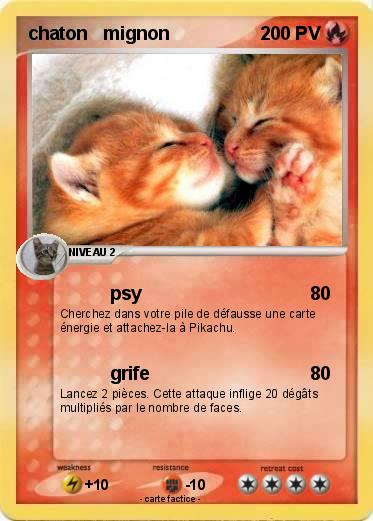 Pokemon chaton   mignon