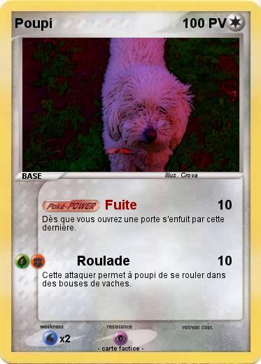 Pokemon Poupi