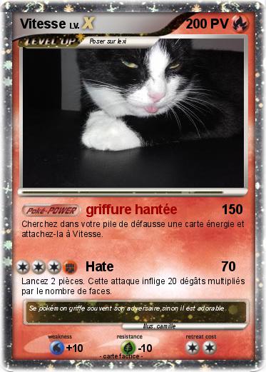 Pokemon Vitesse