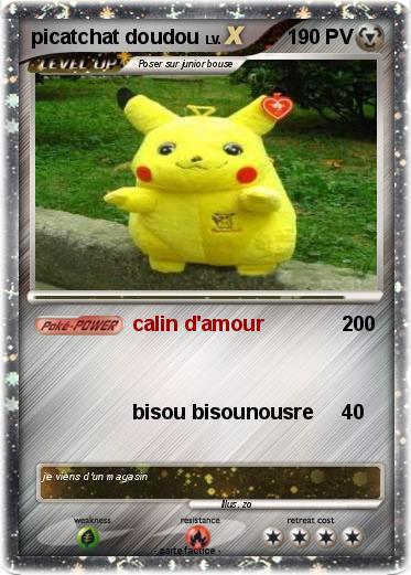 Pokemon picatchat doudou